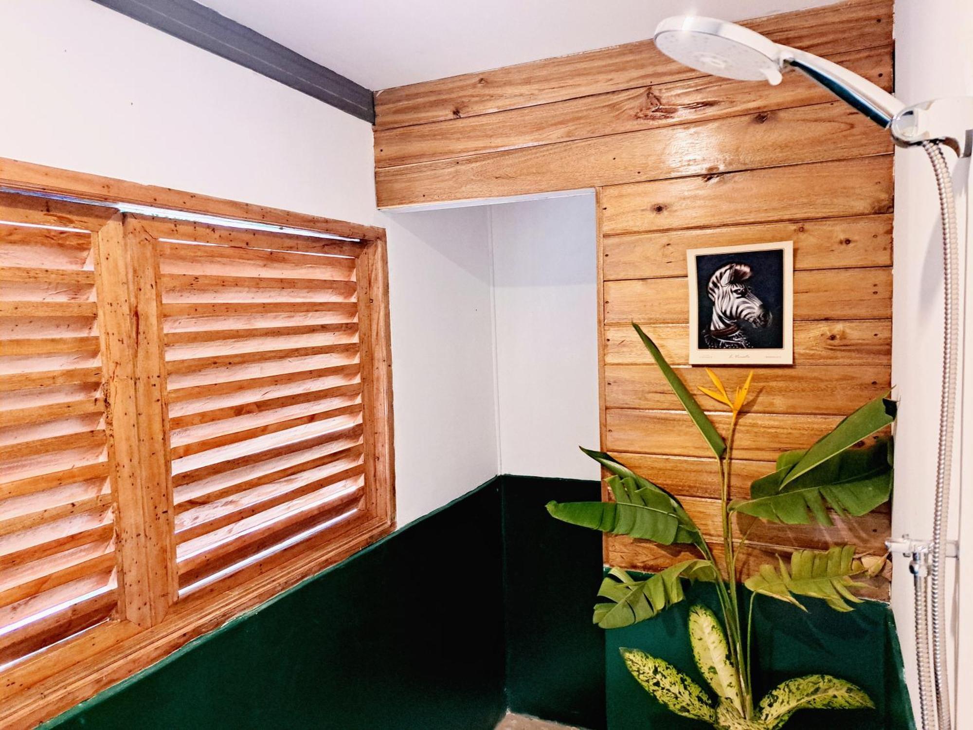 The View - Jungle Lodges - Port Barton San Vicente  Exterior photo