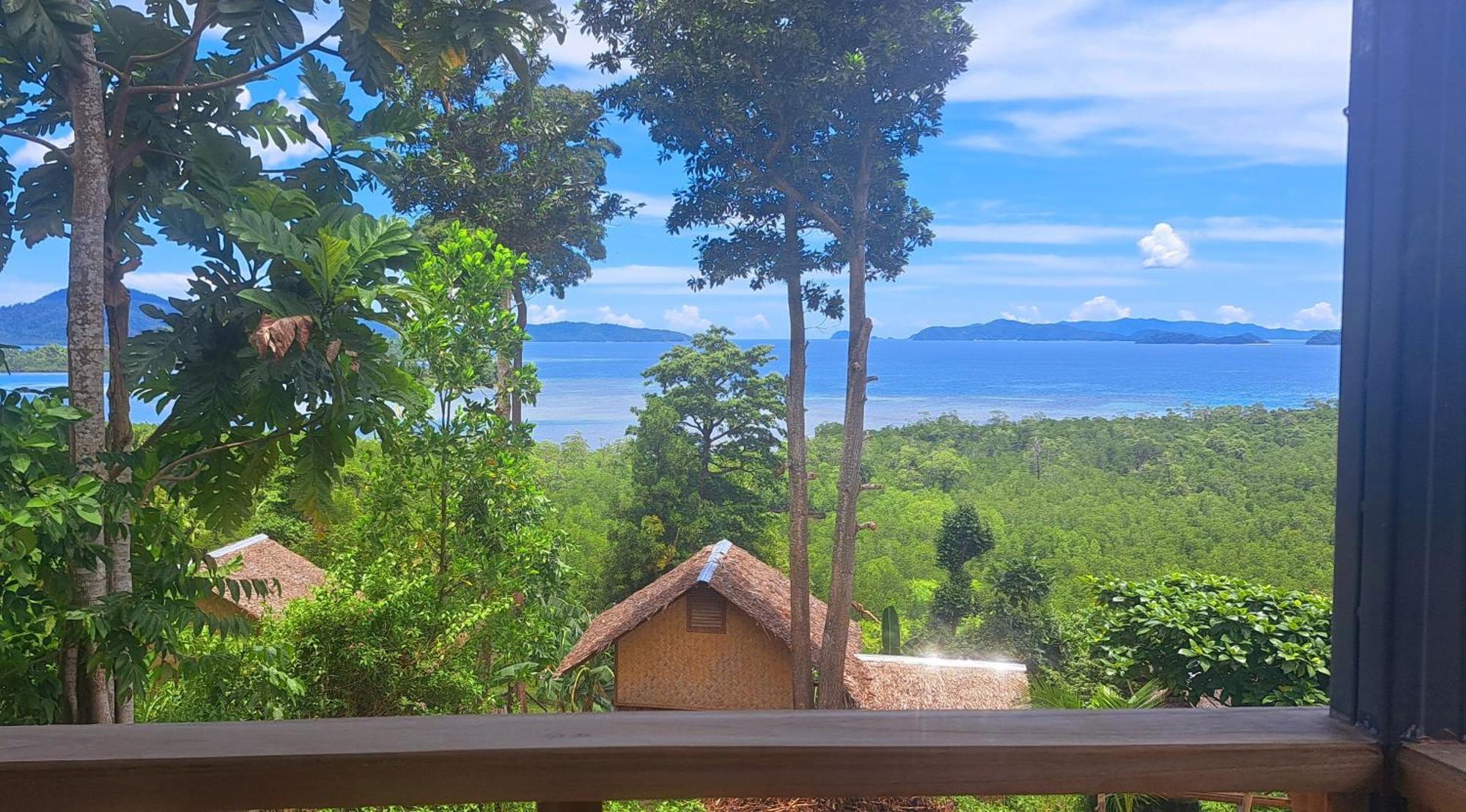 The View - Jungle Lodges - Port Barton San Vicente  Exterior photo